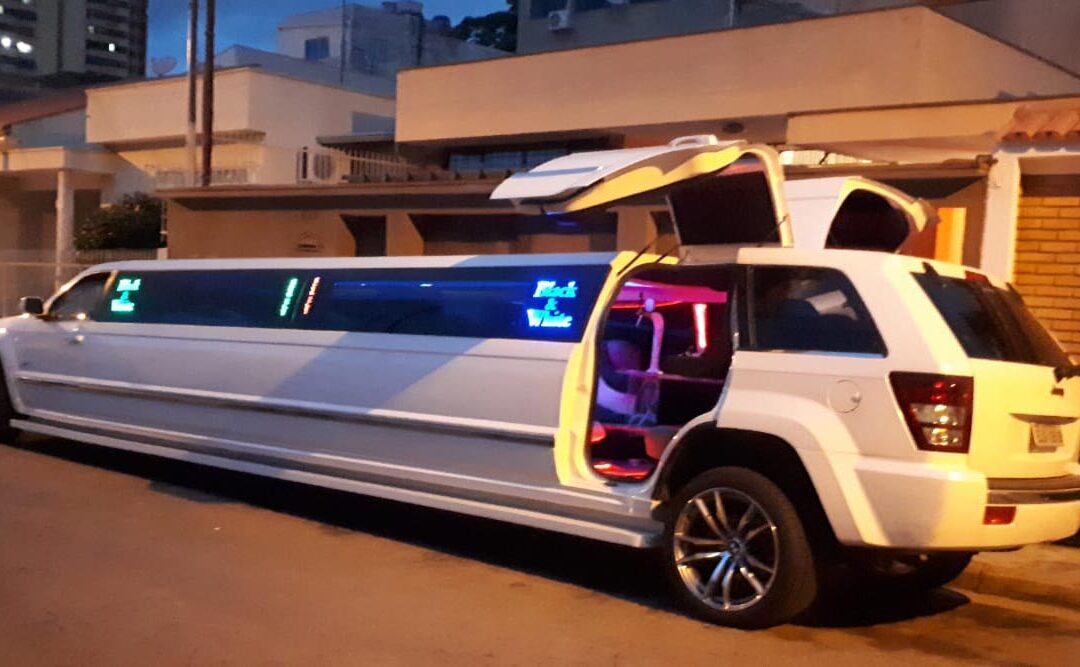 Faça a festa do seu filho brilhar com uma limousine personalizada e cheia de diversão